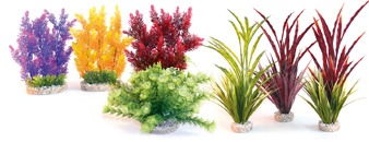 Sydeco Plants